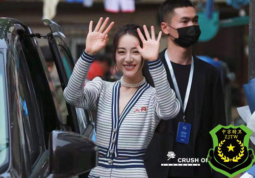 热巴的保镖(图1)