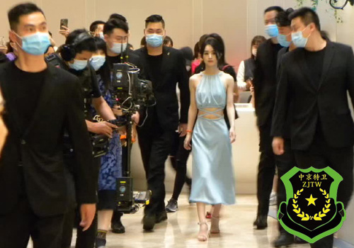 赵丽颖的护卫队(图1)