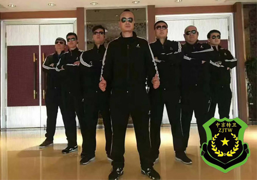 Special Bodyguard(图1)