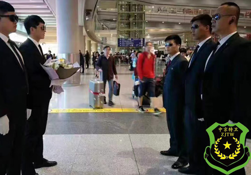 Dispute Bodyguard(图1)