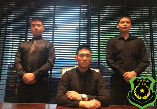 Dispute Bodyguard(图1)